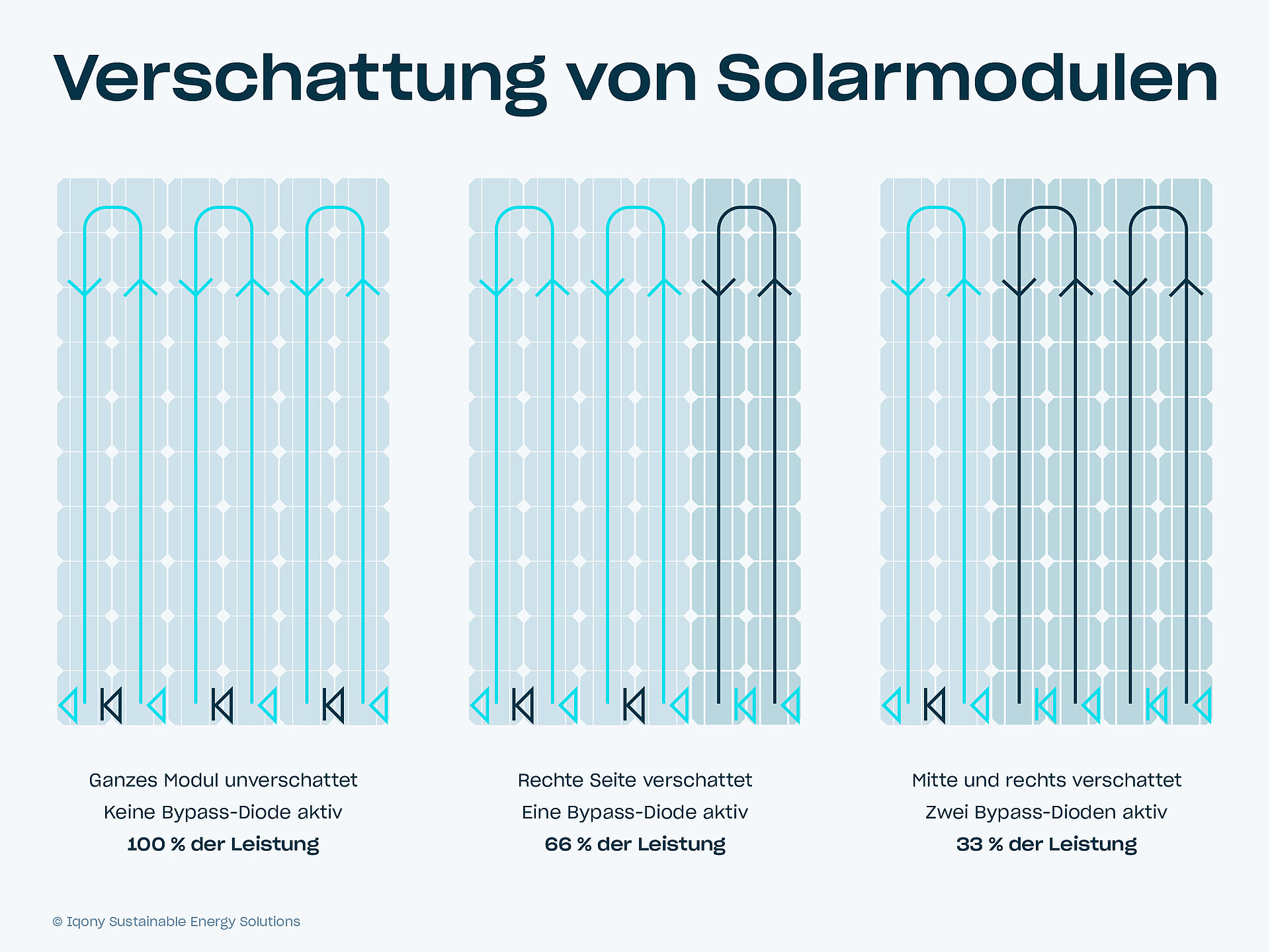 Infografik über Schattenmanagement von Iqony Sens