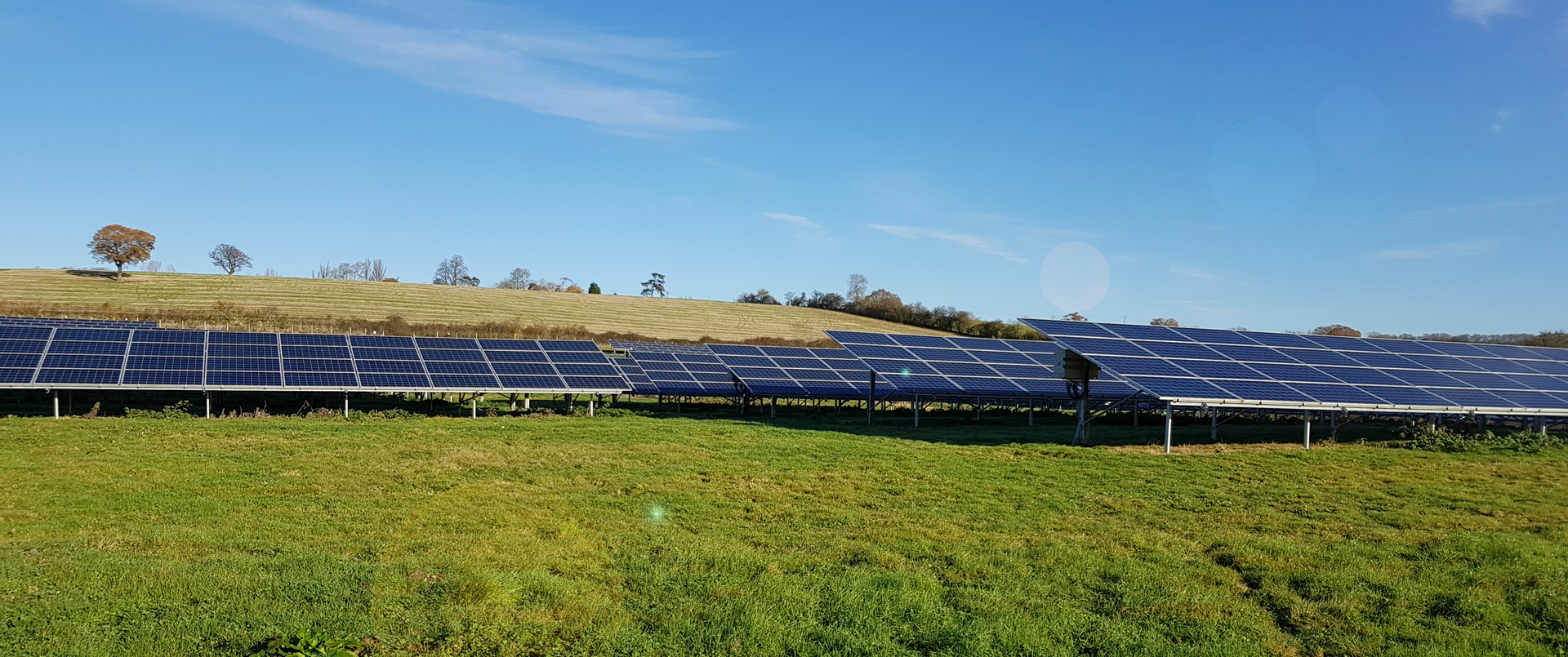 Solar park after green waste Iqony Solar Energy Solutions